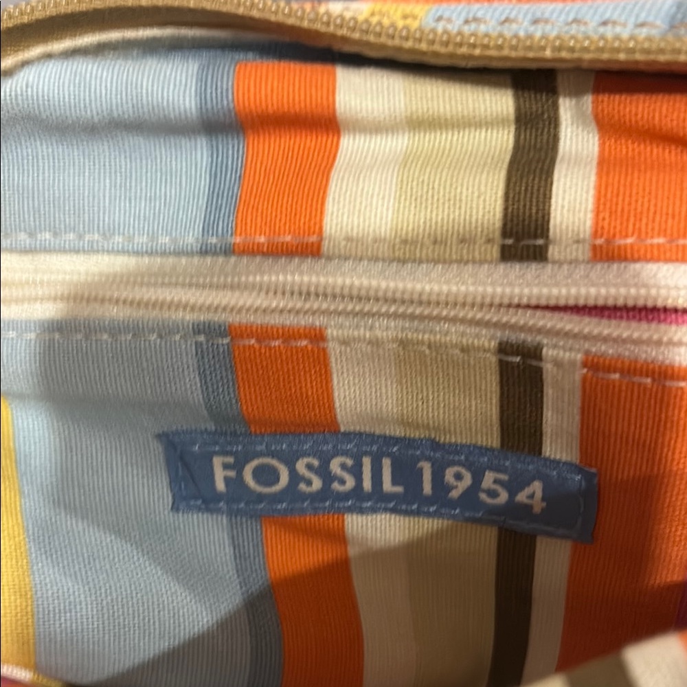 Fossil Colorful Striped Cosmetic Bag